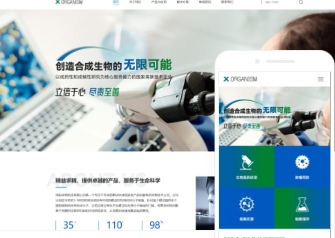 滁州網(wǎng)站開發(fā)價格
